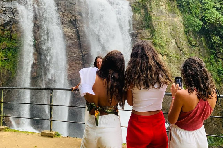 Ella to Udawalawe Transfer With Wild Safari Adventure