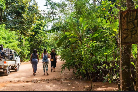 FROM NUNGWI:SPICE FARM TOURFROM NUNGWI :SPICE FARM TOUR