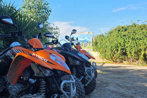 Cultural and culinary tour from Tunis