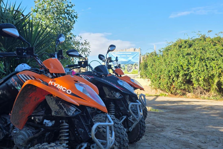 Cultural and culinary tour from Tunis