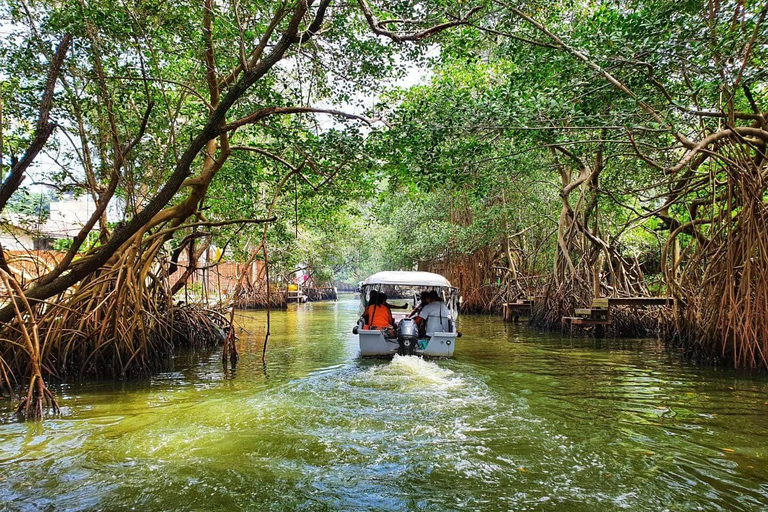 Rio de Janeiro: Praia da Joatinga e Ilha da Gigoia