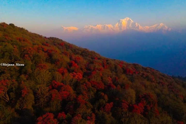 Pokhara: 7 dias de acampamento base do Annapurna via PoonHill e fontes termaisPacote completo de 7 dias para o ABC Trek Ghorepani Poon Hill Hot Spring