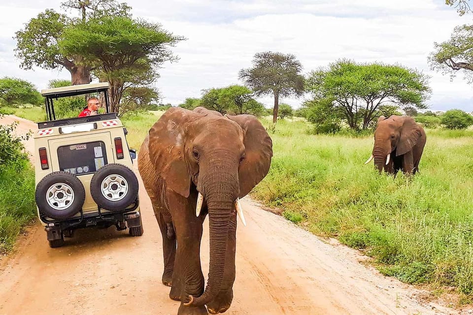 4 tägige Maasai Mara Lake Nakuru Camping Safari im 4x4 Jeep