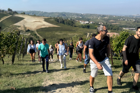 Langhe & Monferrato: Vineyard Tour and Wine Tasting