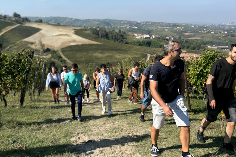 Langhe & Monferrato: Vineyard Tour and Wine Tasting