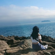 Jeju: UNESCO Mt Halla & South Jeju Coastal Wonders Day Tour Jeju: UNESCO Mt Halla & South Jeju Coastal Wonders Day Tour