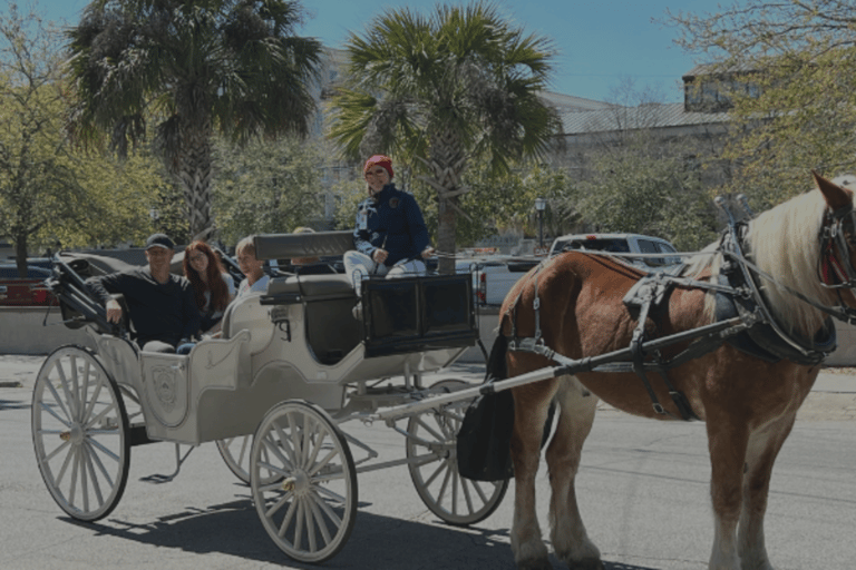 Charleston: Passeio particular de carruagem com história assombradaTour particular noturno de carruagem com história assombrada