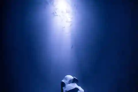 Kailua-Kona: Manta Night Dive & Snorkel Boat Trip & Snacks