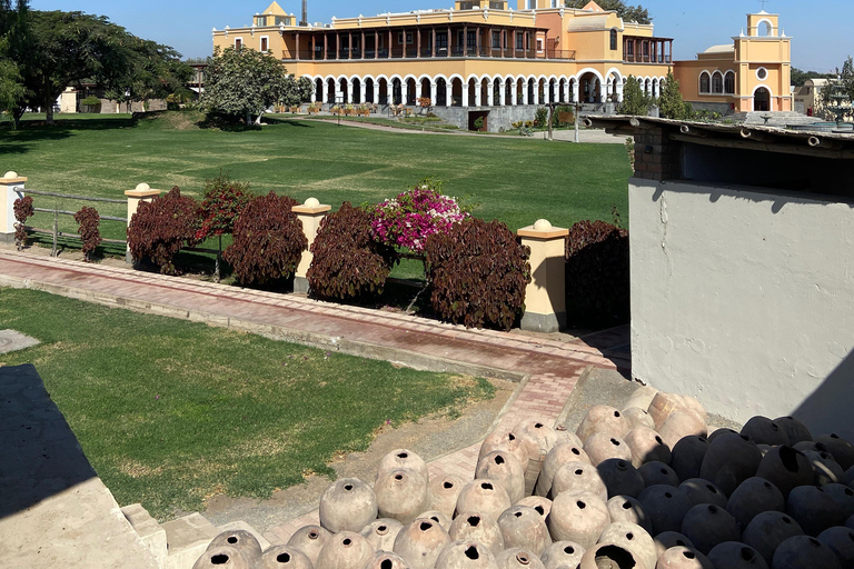 Paracas e Huacachina: Ilhas, Dune Buggy e Piquenique ao Pôr do SolParacas e Huacachina: Ilhas, Buggy nas Dunas e Piquenique ao Pôr do Sol