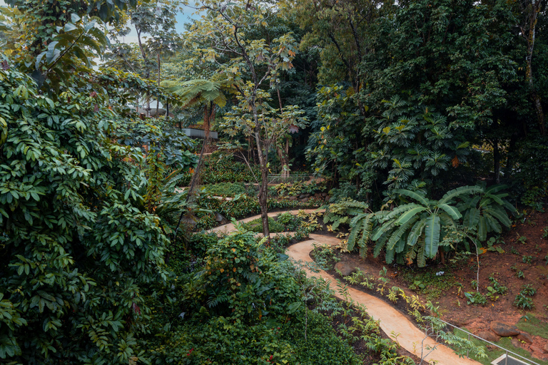 El Yunque Rainforest: EZ-Going Bus Tour (Accessible)