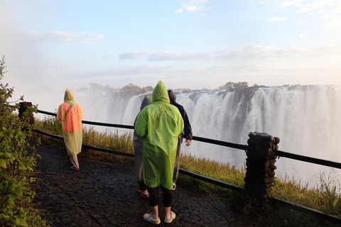 Private Victoria Falls Adventure & Bridge Walking Tour