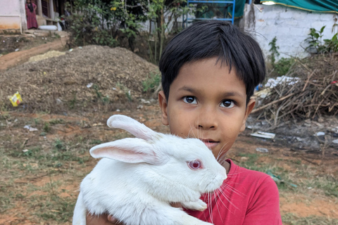 Bangalore: Big Barn Farm Visit with Animal Interactions