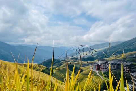 Guilin: Private Longji Rice Terraces & Reed Flute Cave Tour
