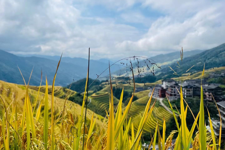 Guilin: Private Longji Rice Terraces & Reed Flute Cave Tour