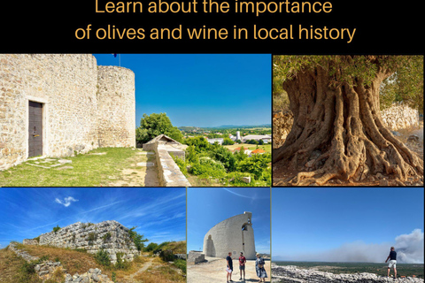 Olive Park Self Drive - Öl-, Wein- und LebensmittelverkostungOlivenmühlentour, Öl, Wein &amp; Essen erleben - Selbstfahrer
