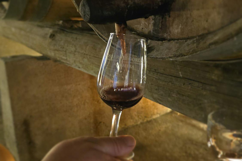 Historic Winery of Count Torre Bella Wine Tasting Tour