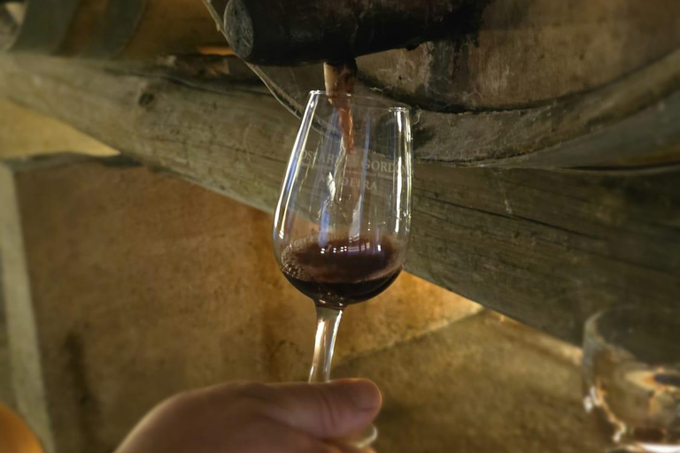 Historic Winery of Count Torre Bella Wine Tasting Tour