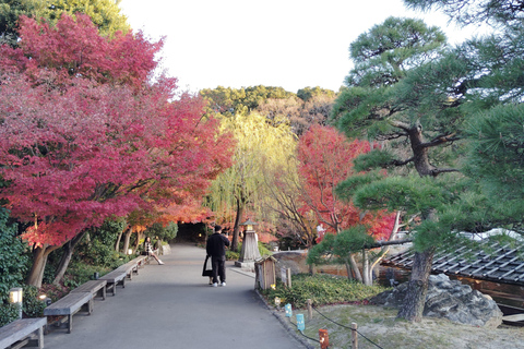 Nagoya: Exploring the Beauty of Tokugawa-en Garden
