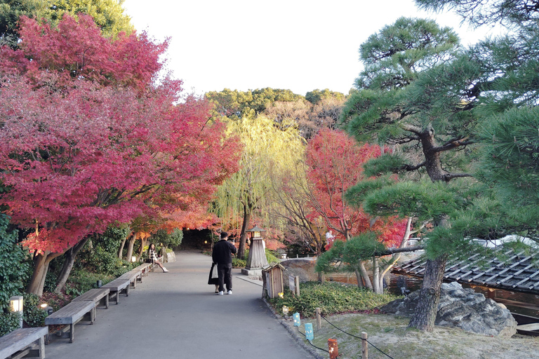 Nagoya: Exploring the Beauty of Tokugawa-en Garden