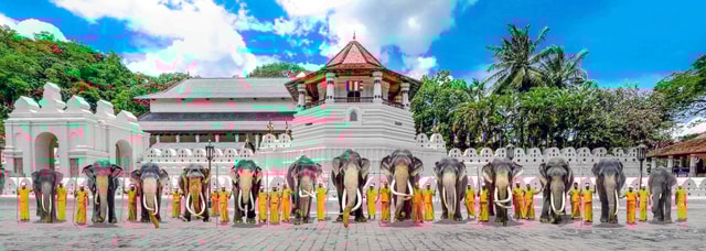 Kandy: stadsrondleiding met gids en de Tempel van de Tandrelikwie