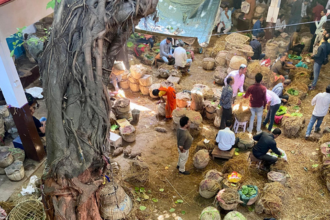 Varanasi : 3 jours de visite guidée privée