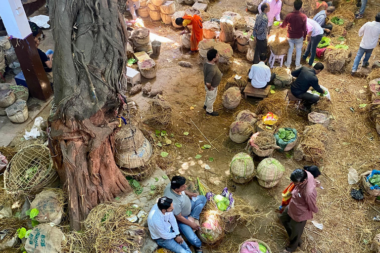 Varanasi : 3 jours de visite guidée privée