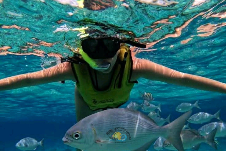 Zanzibar: Jambiani Lagoon Snorkeling & Ngalawa Sailing Tour Hotel Transfers within Southern zone.