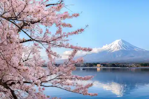 Discover Mount Fuji: Private Car/Van Day Tour from Tokyo