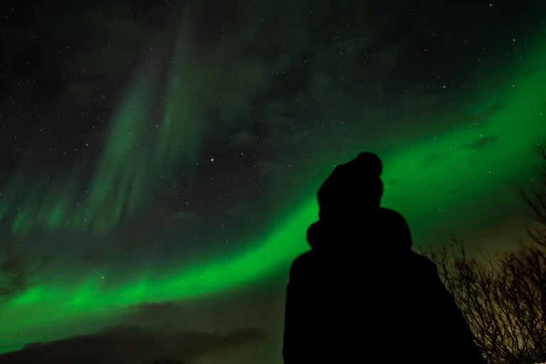 Tromsö: Norrsken i fokus tur, tyska/ engelska, minibuss, måltid