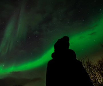 Tromsø: Polar lights in focus tour, German/ English, minibus, meal
