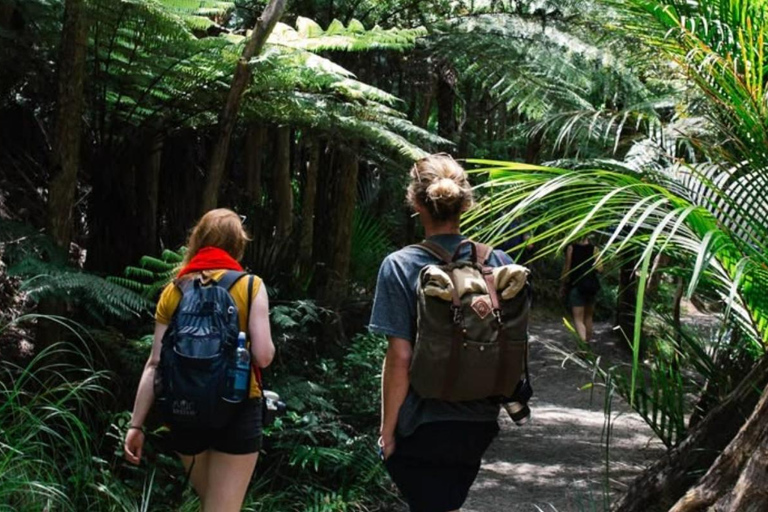 Minca Jungle Trek: Rivers, Tayrona Trails & Cacao Forest