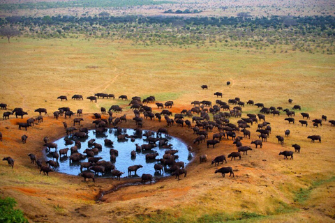 Nairobi: Tsavo West National Park Safari Tour
