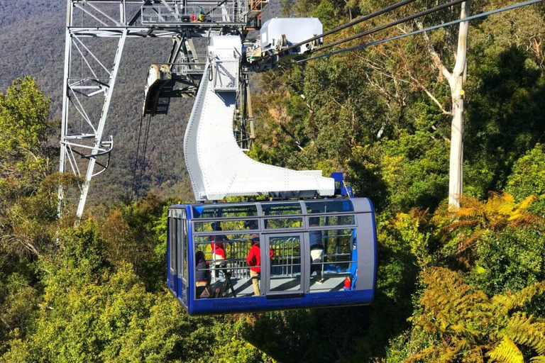 Sydney: Blue Mountains Half Day Scenic World & Lookout Tour Mandarin Speaking Guide: Half Day Scenic World & Lookout