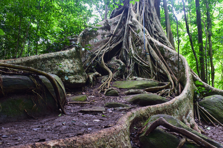 البرية: جولة مشي لمسافات طويلة ومشاهدة النجوم في خاو ياي لمدة يومينجولة المجموعات الصغيرة