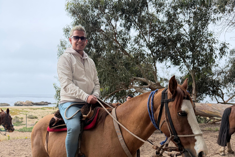 From Santiago: Papudo Horseback Ride & Penguin Watching