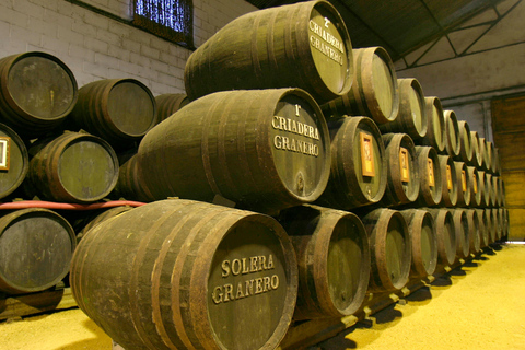 Au départ de Cadix : visite des vignobles de Chiclana de la Frontera avec déjeunerVisite guidée des caves de Chiclana de la Frontera avec déjeuner - 2 personnes