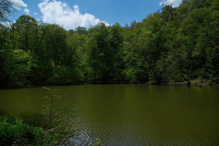 Tavush-regionen: Höjdpunkt - Dilijan nationalpark