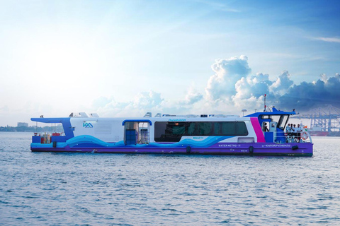 Kochi: Flea & Festive Market