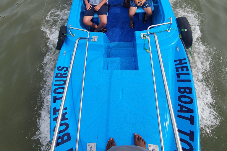 Negombo City Tour & Lagoon Boat safari with Fruit Tasting