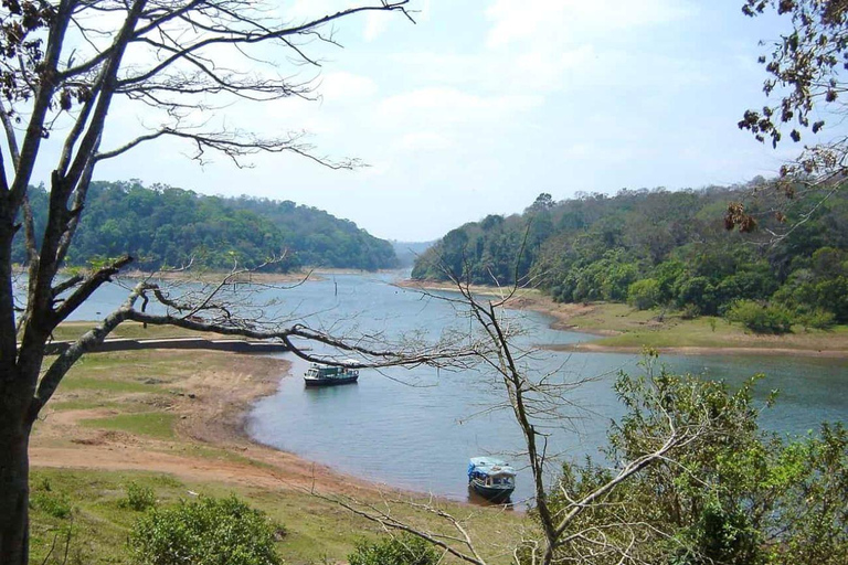 Excursão nocturna exclusiva a Periyar Wildlife com guia de turismo