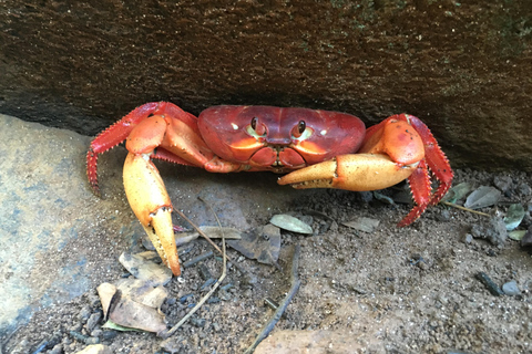 Isla Iguana Full Day Tour