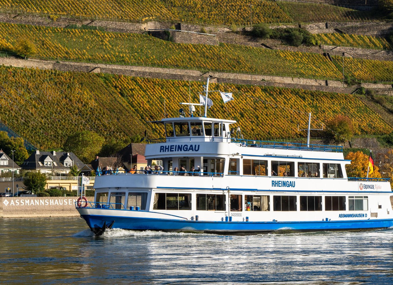 Slotte i Rhinen: 1,5-timers bådtur fra Rüdesheim