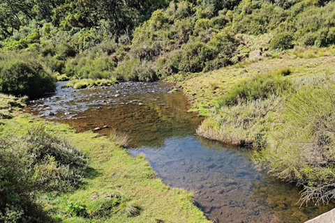 内罗毕：3日阿伯达雷国家公园经济型Safari内罗毕：3天阿伯达雷国家公园经济型Safari之旅