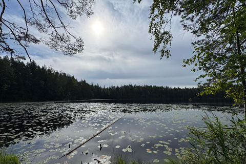Helsinki: Nuuksio National Park Hike with Lunch & Pickup