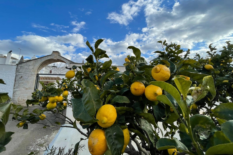 Puglia: Mozzarella Experience at an Apulian Farm Mozzarella Experience in English