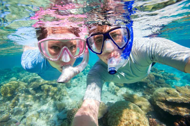 Waikiki Honolulu Beginner Snorkeling Tour with Videos GetYourGuide