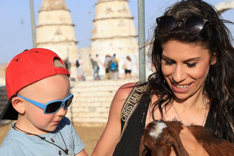 Hurghada: Jeep Safari, piantumazione di alberi e pranzo "dalla fattoria alla tavola"Hurghada: safari in jeep, piantumazione di alberi e pranzo "dalla fattoria alla tavola"