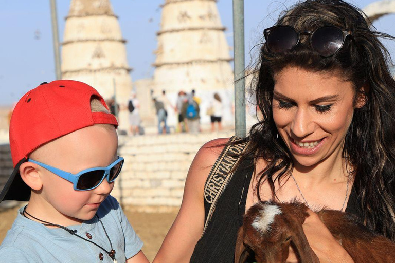 Hurghada: Jeep Safari, piantumazione di alberi e pranzo "dalla fattoria alla tavola"Hurghada: safari in jeep, piantumazione di alberi e pranzo "dalla fattoria alla tavola"