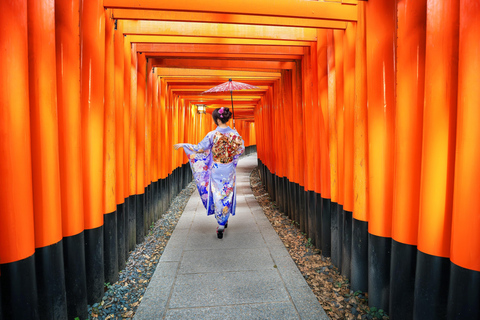 Z Osaki: Jednodniowa wycieczka z przewodnikiem do Kioto i Nara