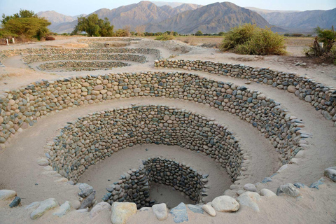 De Ica: Voo das Linhas de Nazca e visita ao Museu Maria Reiche
